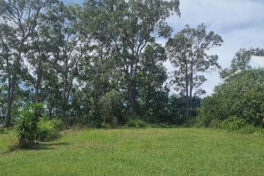Residential Block For Sale - QLD - Macleay Island - 4184 - Rare Waterfront Opportunity - 1234m2 with Sweeping Views! Island living at its finest!  (Image 2)