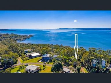 Residential Block For Sale - QLD - Macleay Island - 4184 - Waterfront Opportunity - 1234m2 with Sweeping Views! Island living at its finest! Build your dream..  (Image 2)
