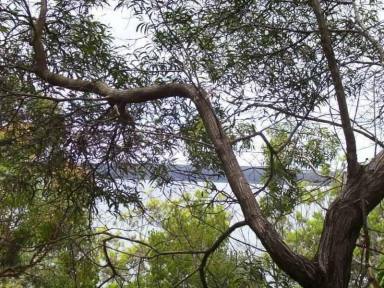 Residential Block For Sale - QLD - Macleay Island - 4184 - Rare Waterfront Opportunity - 1234m2 with Sweeping Views! Island living at its finest!  (Image 2)