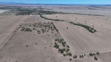 Cropping For Sale - NSW - Moree - 2400 - " The Lease" cheecome Road Moree (Image 2)