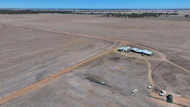 Cropping For Sale - NSW - Moree - 2400 - " The Lease" cheecum Road Moree  (Image 2)