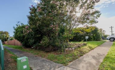 House For Sale - NSW - Bradbury - 2560 - Solid brick home in a great location with approval for a 2 bedroom large 36sqm studio!  (Image 2)