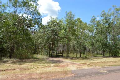 Residential Block For Sale - NT - Livingstone - 0822 - Large Land Option close to Highway  (Image 2)