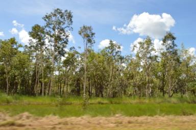 Residential Block For Sale - NT - Livingstone - 0822 - Large Land Option close to Highway  (Image 2)