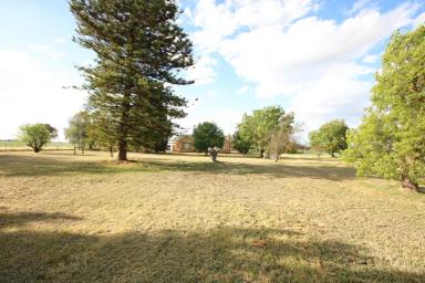 Lifestyle For Sale - VIC - Rochester - 3561 - PEACEFUL RURAL LIVING ON 2.5 Acres - JUST MINUTES FROM ROCHESTER  (Image 2)