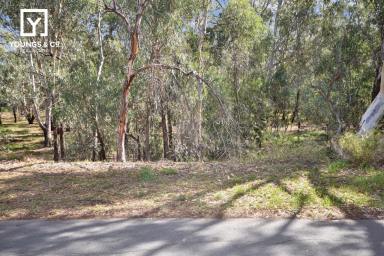 Unit For Sale - VIC - Shepparton - 3630 - Central Shepparton - Bushland Reserve Outlook - 2 Bedroom Unit (Image 2)
