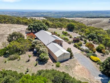 Other (Rural) For Sale - SA - Willunga - 5172 - Breathtaking Views on 1.97 ha – Spacious Family Living  (Image 2)