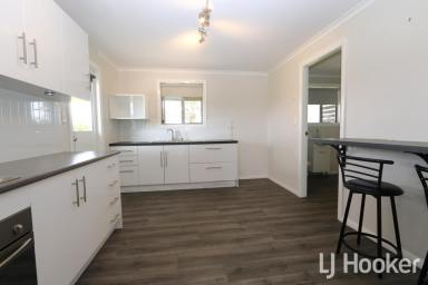 House For Lease - NSW - Inverell - 2360 - Cottage on the Outskirts of Town  (Image 2)