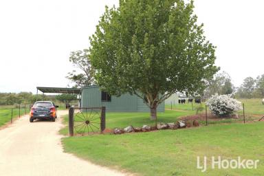 House For Lease - NSW - Inverell - 2360 - Cottage on the Outskirts of Town  (Image 2)