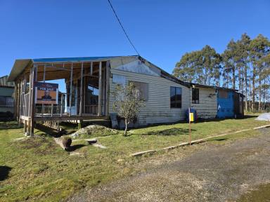 House For Sale - TAS - Waratah - 7321 - Renovation ready!  (Image 2)