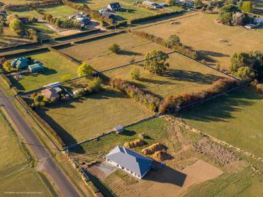 House For Sale - TAS - Westbury - 7303 - Warm, Welcoming & Well Located!  (Image 2)