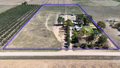 Lifestyle For Sale - VIC - Bearii - 3641 - Renovated Home on 3.72ha with Pool and Planning Approval for Caravan Park  (Image 2)