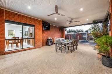House For Sale - VIC - Mildura - 3500 - STUNNING & VERSATILE FAMILY LIVING  (Image 2)