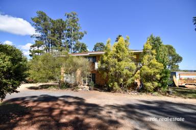 Acreage/Semi-rural For Sale - NSW - Inverell - 2360 - ACREAGE MEETS OPPORTUNITY (Image 2)