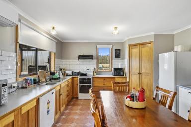 House For Sale - TAS - Sloping Main - 7186 - Where Land Meets Lifestyle  (Image 2)