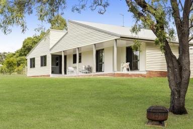 House For Sale - QLD - Glenvale - 4350 - Acreage Retreat – Right here in Town!  (Image 2)