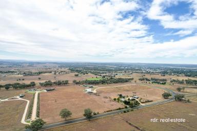 Residential Block For Sale - NSW - Inverell - 2360 - BUILD YOUR DREAM ON 10 ACRES  (Image 2)