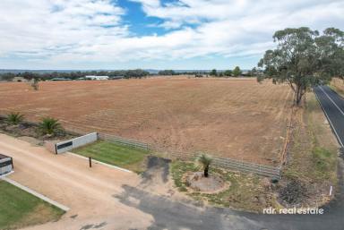 Residential Block For Sale - NSW - Inverell - 2360 - BUILD YOUR DREAM ON 10 ACRES  (Image 2)