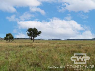 Lifestyle For Sale - NSW - Rocky Creek - 2371 - Productive Rural Holding with Lifestyle Appeal – 80.94 Ha (Approx. 200 Acres  (Image 2)
