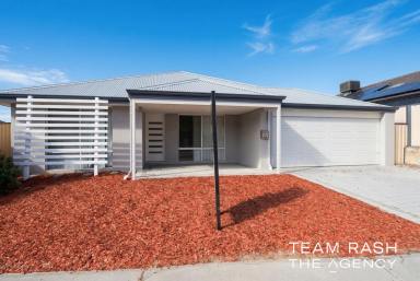 House For Sale - WA - Clarkson - 6030 - NEST OR INVEST  (Image 2)