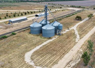 Other (Rural) For Sale - NSW - Rowena - 2387 - Rowena Silo Complex with Rail Siding Access!  (Image 2)