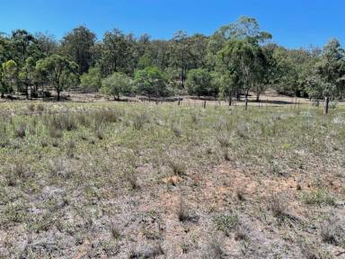 Lifestyle For Sale - NSW - Sandy Hollow - 2333 - PRIVATE BUSH RETREAT  (Image 2)