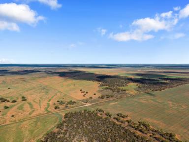 Residential Block For Sale - SA - Truro - 5356 - Allotments perfect for weekends away….  (Image 2)