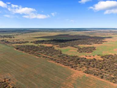 Residential Block For Sale - SA - Truro - 5356 - Allotments perfect for weekends away….  (Image 2)