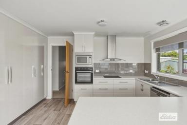 House For Sale - TAS - West Ulverstone - 7315 - IMMACULATELY PRESENTED BRICK HOME (Image 2)