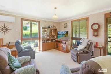 House For Sale - NSW - Bega - 2550 - AFFORDABLE BRICK BEAUTY CLOSE TO TOWN  (Image 2)