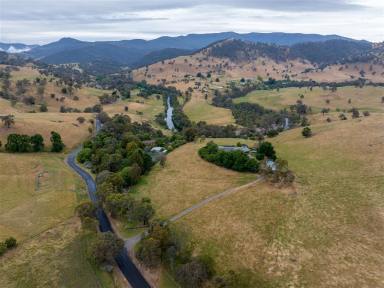 House For Sale - NSW - Tumut - 2720 - "Rivendell" Goobarragandra River Frontage on 8.84 Acres  (Image 2)