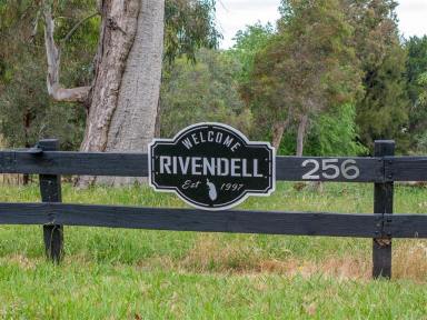 House For Sale - NSW - Tumut - 2720 - "Rivendell" Goobarragandra River Frontage on 8.84 Acres  (Image 2)