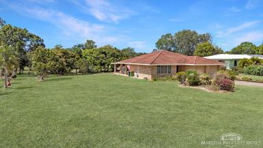 House Sold - QLD - Mareeba - 4880 - FAMILY HOME ON ACREAGE IN SOUGHT-AFTER POCKET (Image 2)