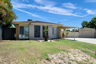 House For Sale - WA - Beechboro - 6063 - Space, Style and Development Potential !!! (Image 2)