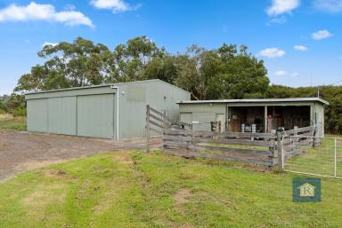 Residential Block For Sale - VIC - Elliminyt - 3250 - Space, Services & Shedding… (Image 2)