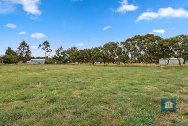 Residential Block For Sale - VIC - Elliminyt - 3250 - Space, Services & Shedding… (Image 2)
