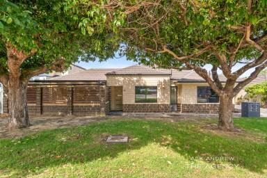 House For Sale - WA - Innaloo - 6018 - STUNNING STREET FRONT VILLA - ENTERTAINERS DELIGHT  (Image 2)