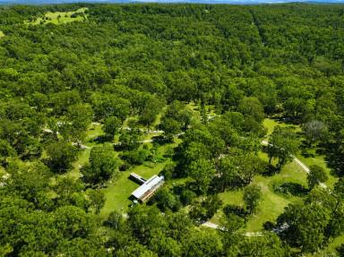 Lifestyle For Sale - NSW - Tenterfield - 2372 - ALL ABOARD FOR BALD ROCK STATION !  (Image 2)