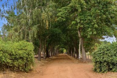 House For Sale - WA - Balingup - 6253 - Where the Morning Sun Meets the Balingup Mist (Image 2)