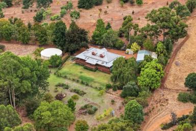 House For Sale - WA - Balingup - 6253 - Where the Morning Sun Meets the Balingup Mist  (Image 2)