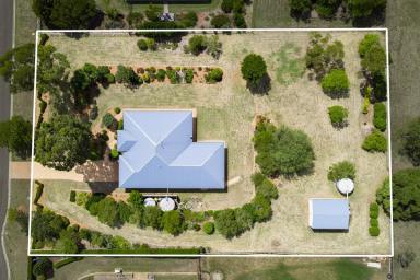 House For Sale - QLD - Torrington - 4350 - Spacious retreat with powered shed on 4,002m2 in peaceful Curtis Park Estate (Image 2)