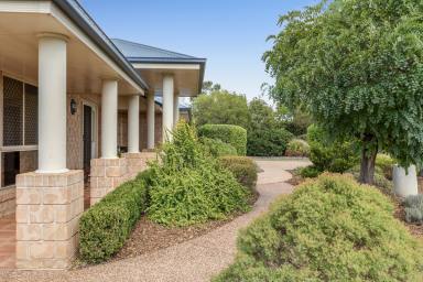 House For Sale - QLD - Torrington - 4350 - Spacious retreat with powered shed on 4,002m2 in peaceful Curtis Park Estate (Image 2)