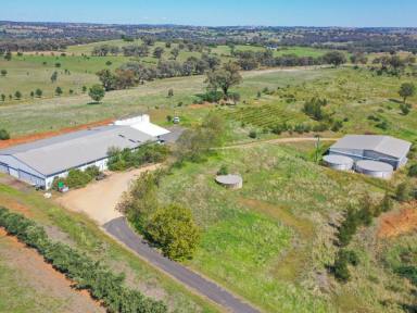 Lifestyle For Sale - NSW - Young - 2594 - 30acs* with 3 Phase Power, Town water, 2 Massive Sheds & Only a 5 Minute* Drive to the CBD  (Image 2)