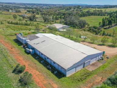 Lifestyle For Sale - NSW - Young - 2594 - 30acs* with 3 Phase Power, Town water, 2 Massive Sheds & Only a 5 Minute* Drive to the CBD  (Image 2)