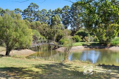 Lifestyle For Sale - WA - Rosa Brook - 6285 - Equestrian Estate with Lake, Income & Dual Living  (Image 2)