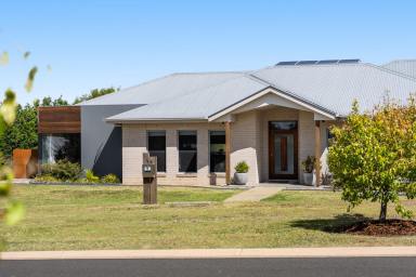 House For Sale - QLD - Hodgson Vale - 4352 - Modern Living in Picturesqe Hodgson Vale  (Image 2)