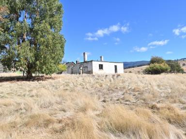 Lifestyle For Sale - TAS - Ellendale - 7140 - Your Peaceful Rural Escape - 5,199m² of Opportunity Awaits  (Image 2)