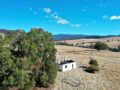 Lifestyle For Sale - TAS - Ellendale - 7140 - Your Peaceful Rural Escape - 5,199m² of Opportunity Awaits  (Image 2)