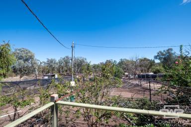 Lifestyle For Sale - NSW - Wallangra - 2360 - Slow Down & Spread Out – 52ha of Easy Country Living  (Image 2)