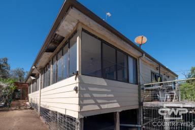 Lifestyle For Sale - NSW - Wallangra - 2360 - Slow Down & Spread Out – 52ha of Easy Country Living  (Image 2)